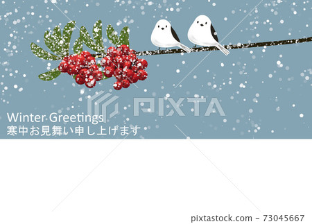 Winter greeting card with red fruit tree and long-tailed tit in the snow 73045667