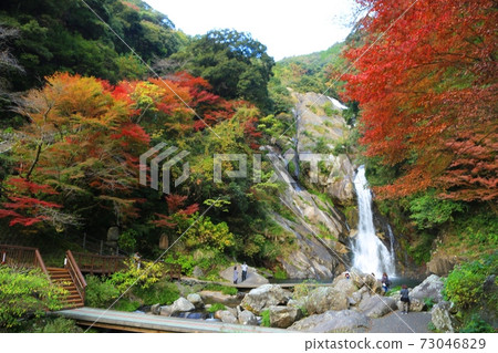 唐津市返回瀑布秋天的落葉 73046829