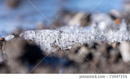 Needle ice art Needle ice art 73047159