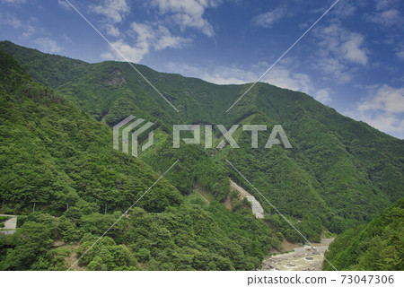 心形森林 心形森林 73047306