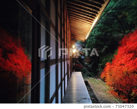 Dokudonzuji of Ankokuji 73047320