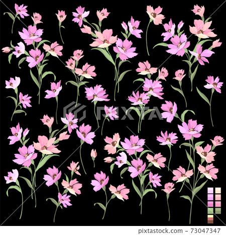 美麗可愛的花卉素材集 插圖素材 圖庫