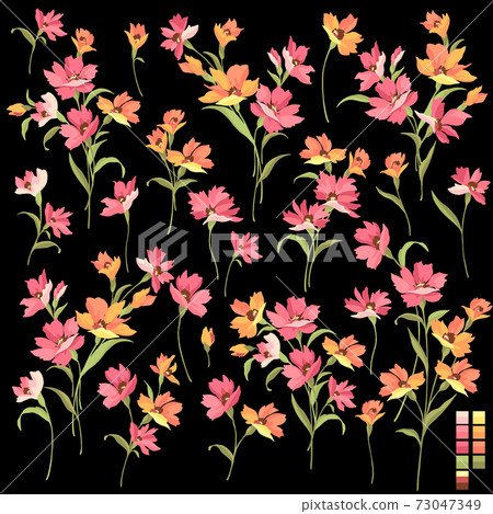 美麗可愛的花卉素材集 插圖素材 圖庫