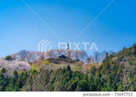 船岡城堡遺址公園內的船岡和平觀音和櫻花[宮城縣] 73047753