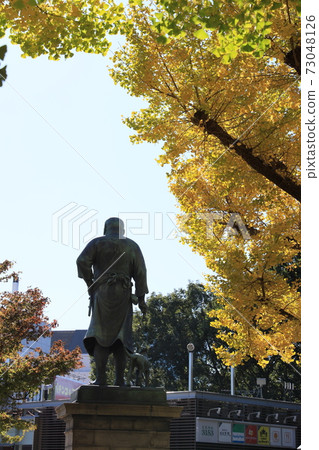 A bronze statue of Takamori Saigo in Ueno Park, which stands in the yellow leaves A bronze statue of Takamori Saigo in Ueno Park, which stands in the yellow leaves 73048126