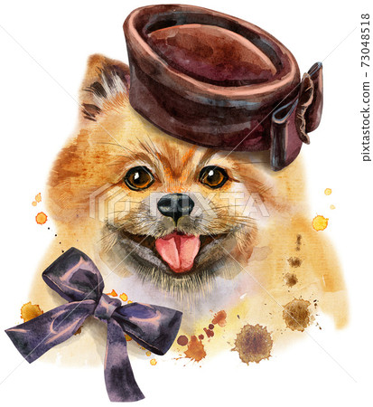 Watercolor portrait of dog pomeranian spitz in brown hat Watercolor portrait of dog pomeranian spitz in brown hat 73048518