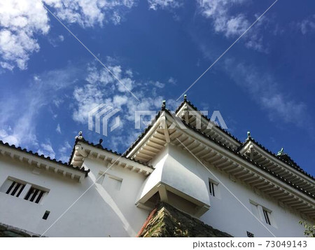 Castle tower and sky 73049143