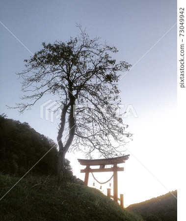 Shimoishii Hachiman Shrine 73049942