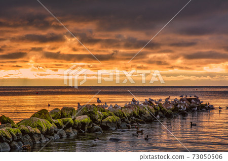 A beautiful sunset over the green boulders on a wave breaker. Photo from Hallevik, Blekinge, Sweden 73050506