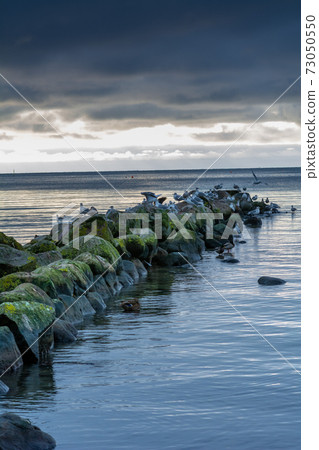 A beautiful sunset over the green boulders on a wave breaker. Photo from Hallevik, Blekinge, Sweden 73050550