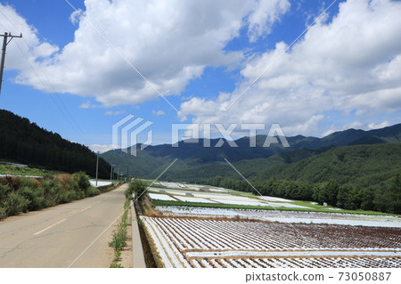 信州的生菜場 信州的生菜場 73050887