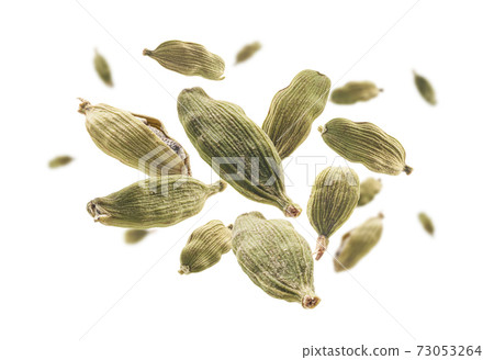 Cardamom pods levitate on a white background 73053264