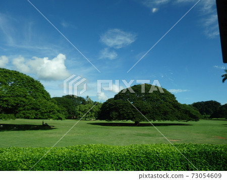 Hawaii Hawaii 73054609