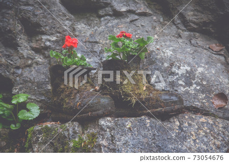 Two shoes as a decoration with flowers Two shoes as a decoration with flowers 73054676