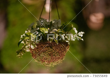 Floral arrangement hanging on a wedding decoration at night 73055649