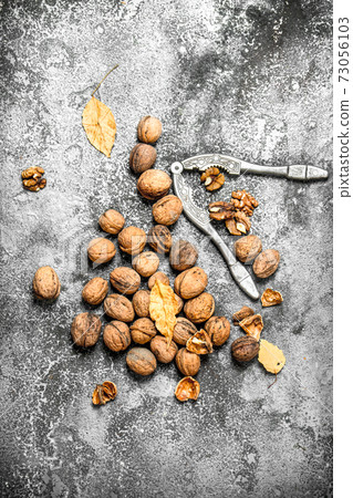 Walnuts with Nutcracker. Walnuts with Nutcracker. 73056103