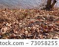 Winter scenery of the han river 73058255