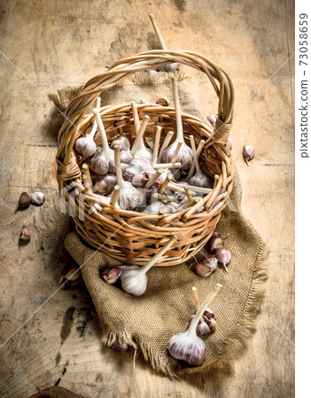 Garlic in an old basket. On wooden background. Garlic in an old basket. On wooden background. 73058659