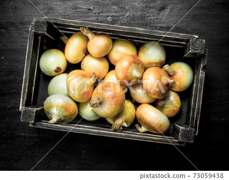 Fresh onions in an old box. Fresh onions in an old box. 73059438