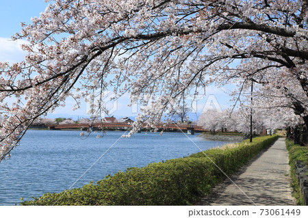 Hashienuma Environmental Fureai Park Sakura Hashienuma Environmental Fureai Park Sakura 73061449
