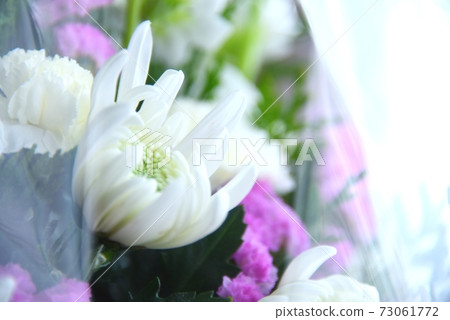 Memorial flower 73061772
