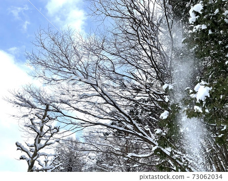 Winter promenade winter scenery 73062034