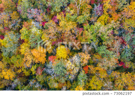 Fall Foliage from Above Fall Foliage from Above 73062197