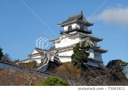 掛川城（新年） 73063811