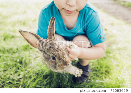 Little boy is holding a bunny. Vacation at the farm 73065639