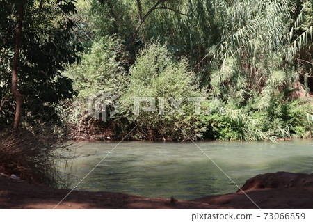 A lovely corner of trees, shrubs, shade and water in the Jordan River that flows near Kibbutz Beit Hillel in Israel close view A lovely corner of trees, shrubs, shade and water in the Jordan River that flows near Kibbutz Beit Hillel in Israel close view 73066859