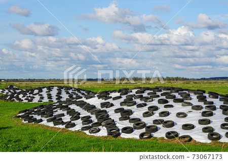 large pile of silage on field covered with plastic film and used tires 73067173