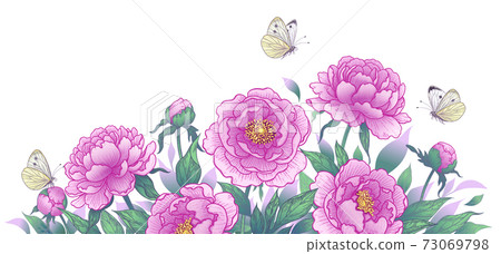 Vintage Background with  Pink Peony Flowers  and  Flying Butterflies 73069798