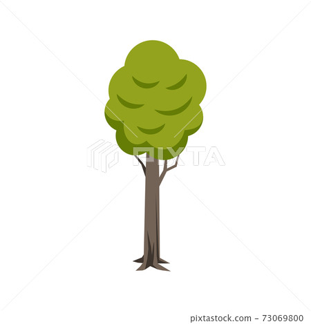 Tree Flat Icon 73069800
