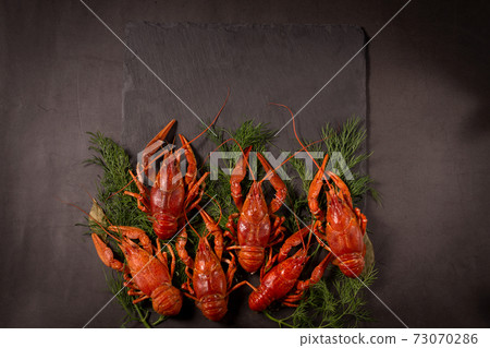 Boiled red crawfish, ready to eat with lemon slices and ice cubes on a black surface. Boiled red crawfish, ready to eat with lemon slices and ice cubes on a black surface. 73070286