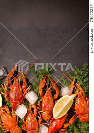 Boiled red crawfish, ready to eat with lemon slices and ice cubes on a black surface. Boiled red crawfish, ready to eat with lemon slices and ice cubes on a black surface. 73070287