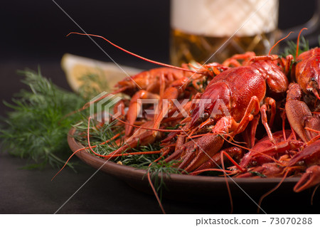 Boiled red crawfish, ready to eat with lemon slices and ice cubes on a black surface. Boiled red crawfish, ready to eat with lemon slices and ice cubes on a black surface. 73070288