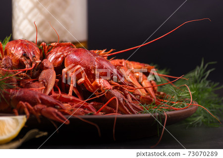 Boiled red crawfish, ready to eat with lemon slices and ice cubes on a black surface. Boiled red crawfish, ready to eat with lemon slices and ice cubes on a black surface. 73070289