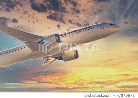 [Background composition of JAL aircraft that took off over Jonanjima] 73070678