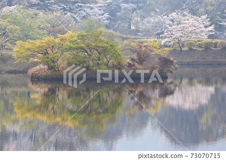 Sakura at Miyakonojo Kannon Pond Park 73070715