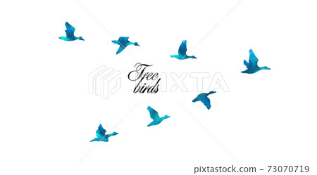 Bird watercolor. A ducks flying south. Mixed media. Vector illustration Bird watercolor. A ducks flying south. Mixed media. Vector illustration 73070719