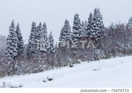 冬季森林山區雪景 冬季森林山區雪景 73070723