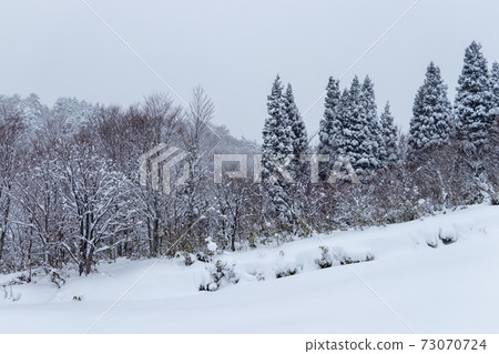 冬季森林山區雪景 冬季森林山區雪景 73070724