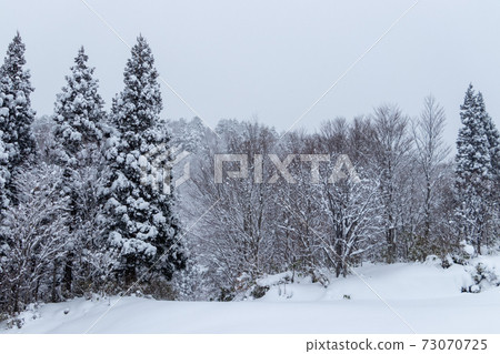 冬季森林山區雪景 冬季森林山區雪景 73070725