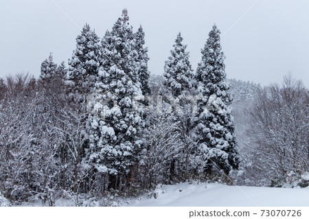 冬季森林山區雪景 冬季森林山區雪景 73070726