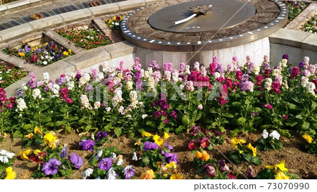 Inage Seaside Park Flower field in front of the sundial Inage Seaside Park Flower field in front of the sundial 73070990