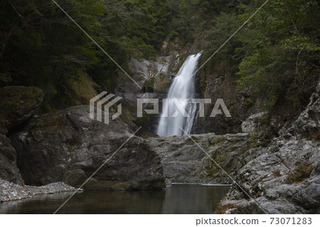 下半部不動七飯的T(奈良縣吉野縣志木北山村) 下半部不動七飯的T(奈良縣吉野縣志木北山村) 73071283