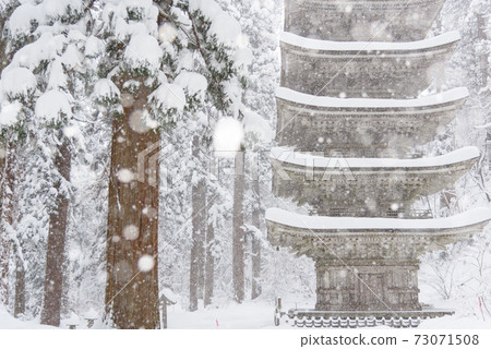 Haguroyama五層塔在冬天 Haguroyama五層塔在冬天 73071508