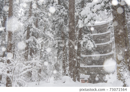 Haguroyama五層塔在冬天 73071564