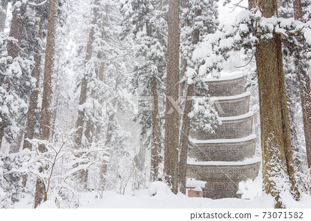 Haguroyama five-storied pagoda in winter 73071582