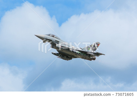 German Air Force EF-2000 Eurofighter Cyber Tiger Painting 73071605